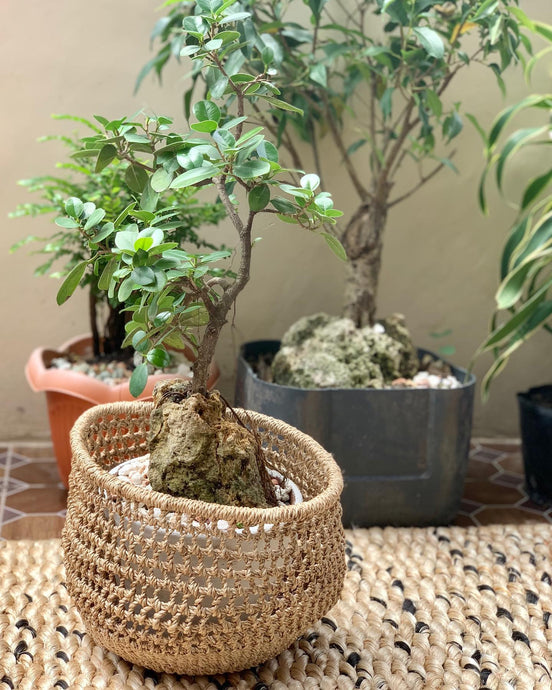 Abaca planters #abacaplanter #claireshandicrafts #worldwideshipping...