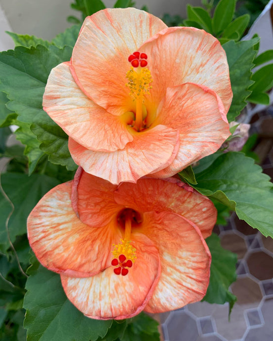 Count your blessings. Hug your...