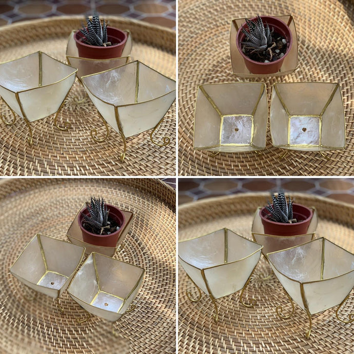 Plant pots made of capiz...