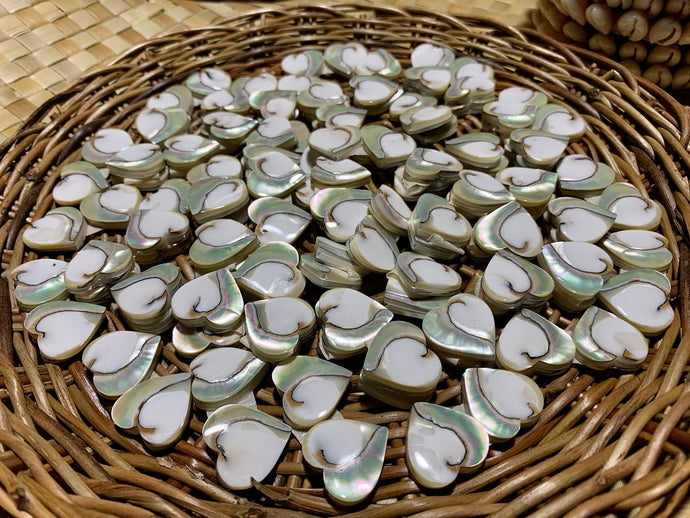 2cm heart-shaped chambered nautilus 🐚...