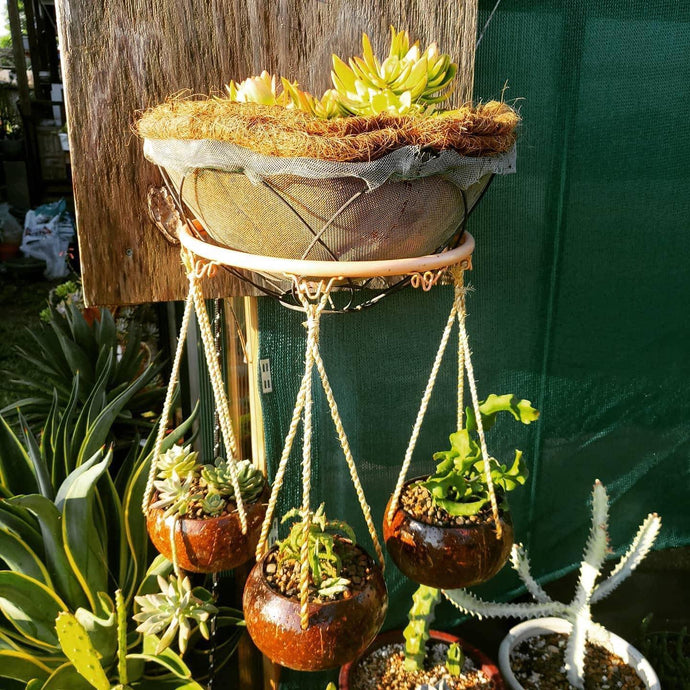 Recycled basket hoop. Now, adorned...