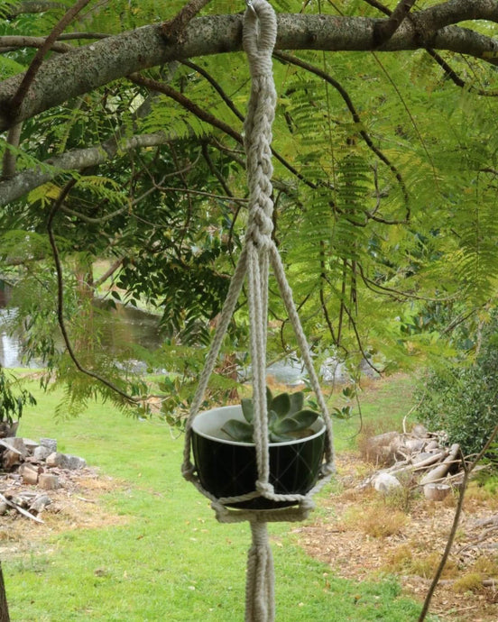Macrame plant hangers #macrameplanthanger #planthanger...