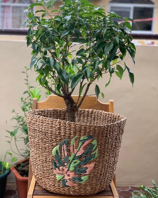 Embroidered bancuan (seagrass) planters #planters...