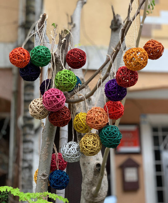 Preparing for ecofriendly Christmas decor...