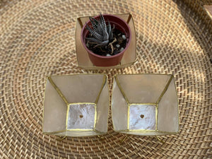 Plant pots made of capiz shells