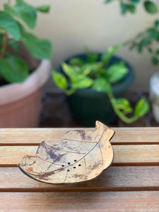 Leaf-shaped coconut soap dishes