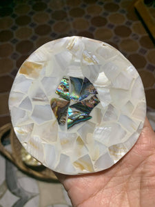 Abalone coasters