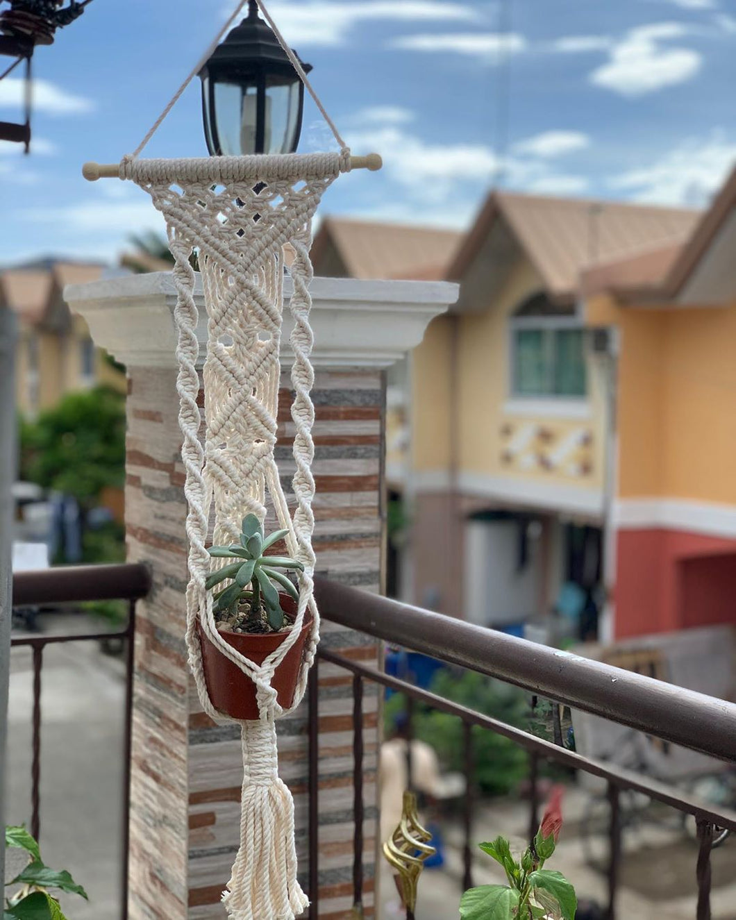 Macrame plant hangers