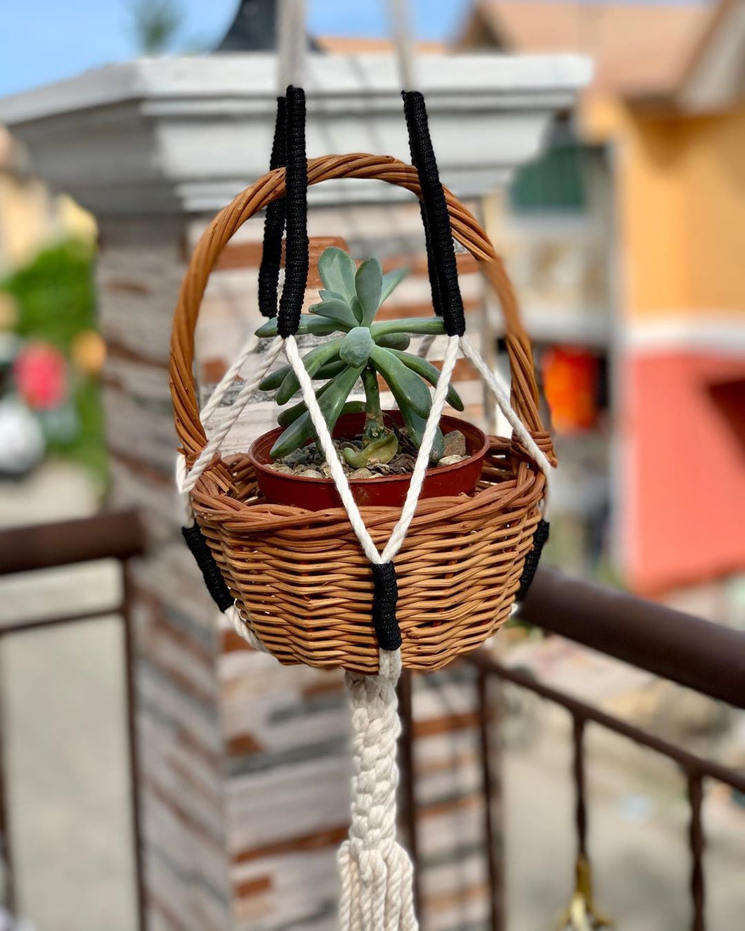 Macrame plant hangers