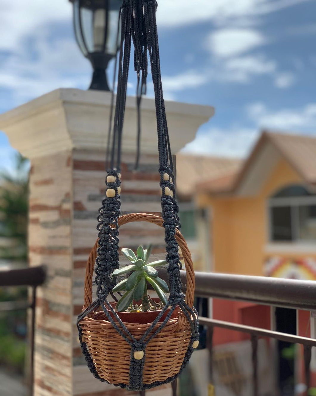 Macrame plant hangers