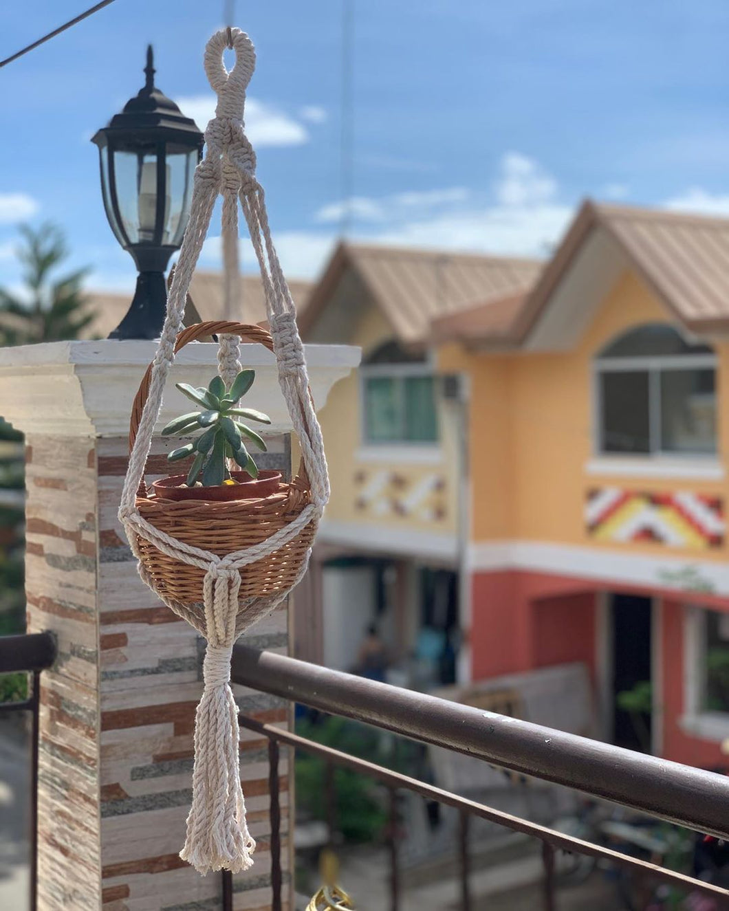 Macrame plant hangers