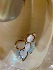 Nautilus hoop earrings