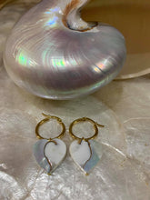 Load image into Gallery viewer, Nautilus hoop earrings
