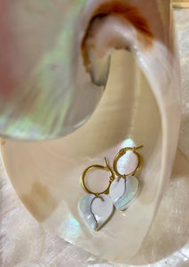 Nautilus hoop earrings