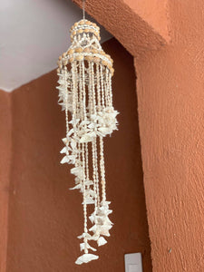 Shell wind chimes