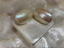 Load image into Gallery viewer, Chamber shell stud earrings
