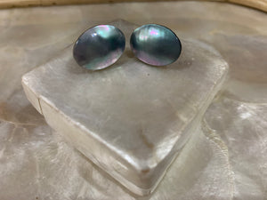 Chamber shell stud earrings