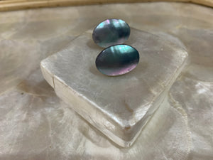 Chamber shell stud earrings