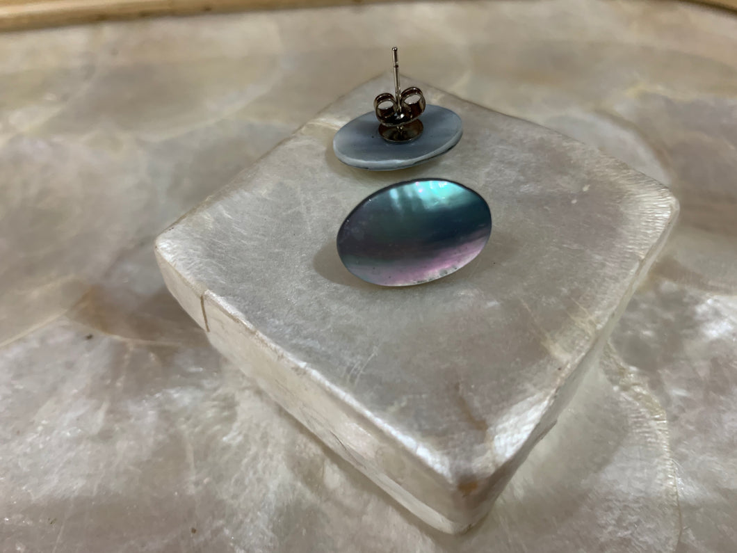 Chamber shell stud earrings