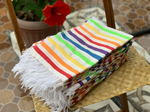 Rainbow wasig kitchen towels