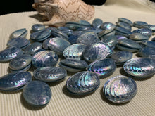 Load image into Gallery viewer, Blue abalone stud earrings - Claire&#39;s Handicrafts
